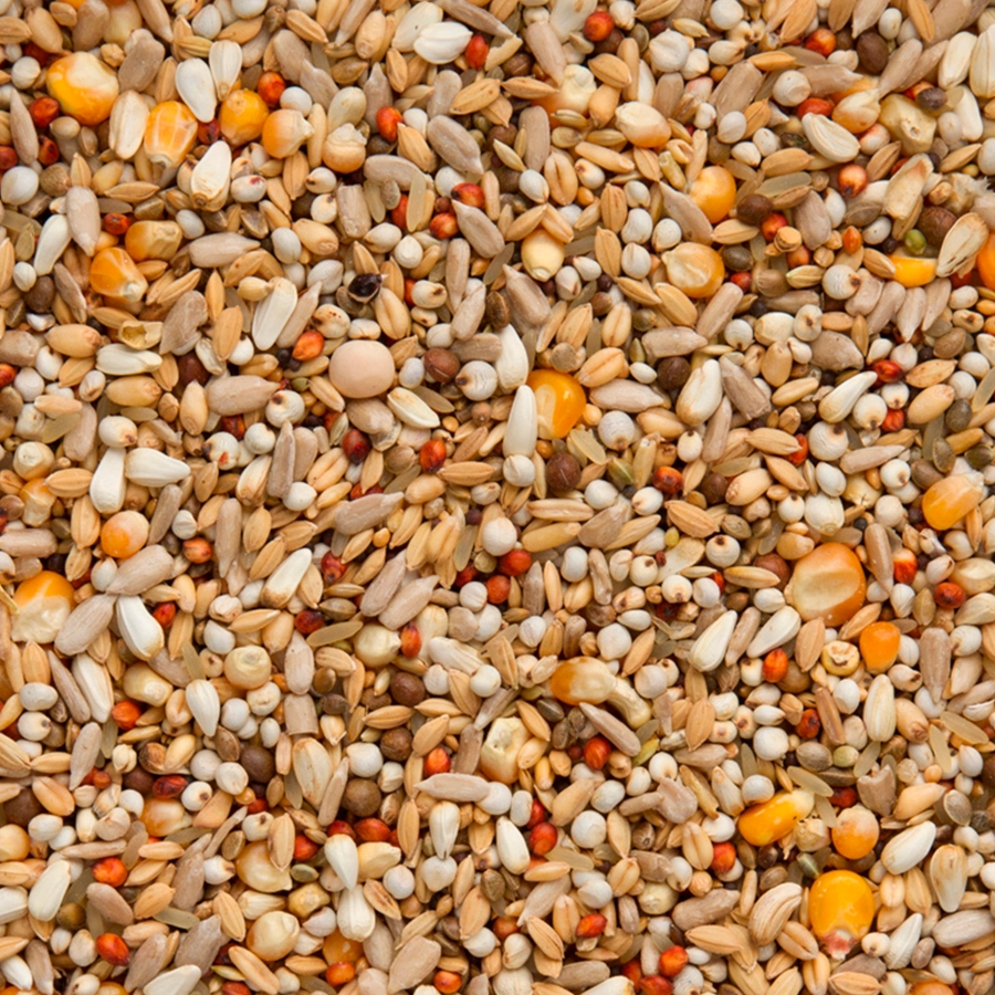 Enzymix 7/47 modern system energy | VOSKES