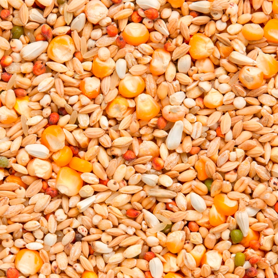 Enzymix 7/48 modern system recup | VOSKES