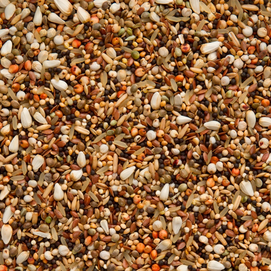 ENZYMIX 7/57 MODERN SYSTEM TRAPPING MIX FINE | | Beyers Belgium