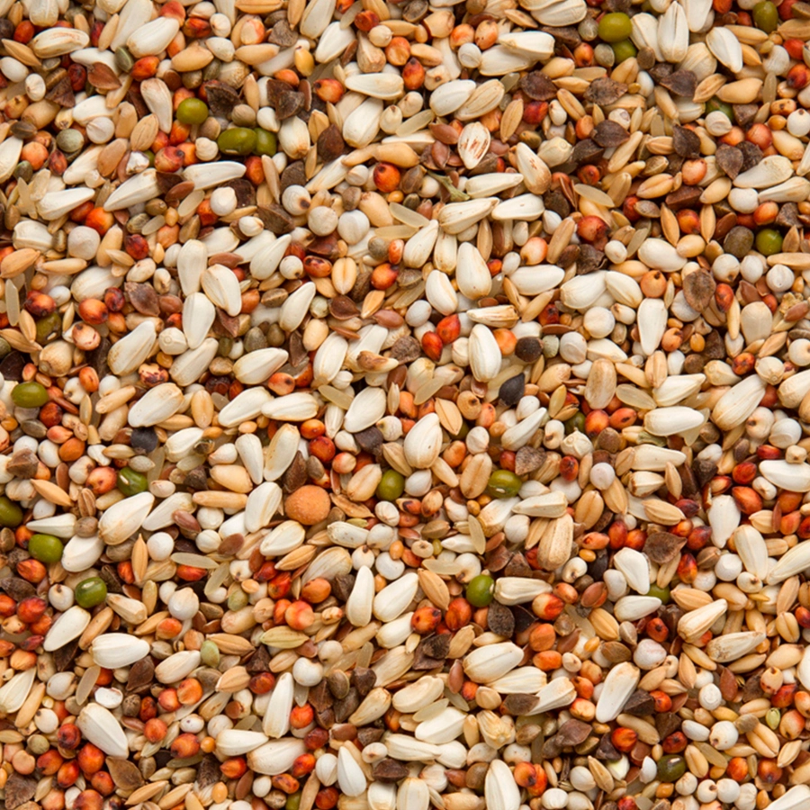 Enzymix 7/78 modern system hi-digest energy | VOSKES