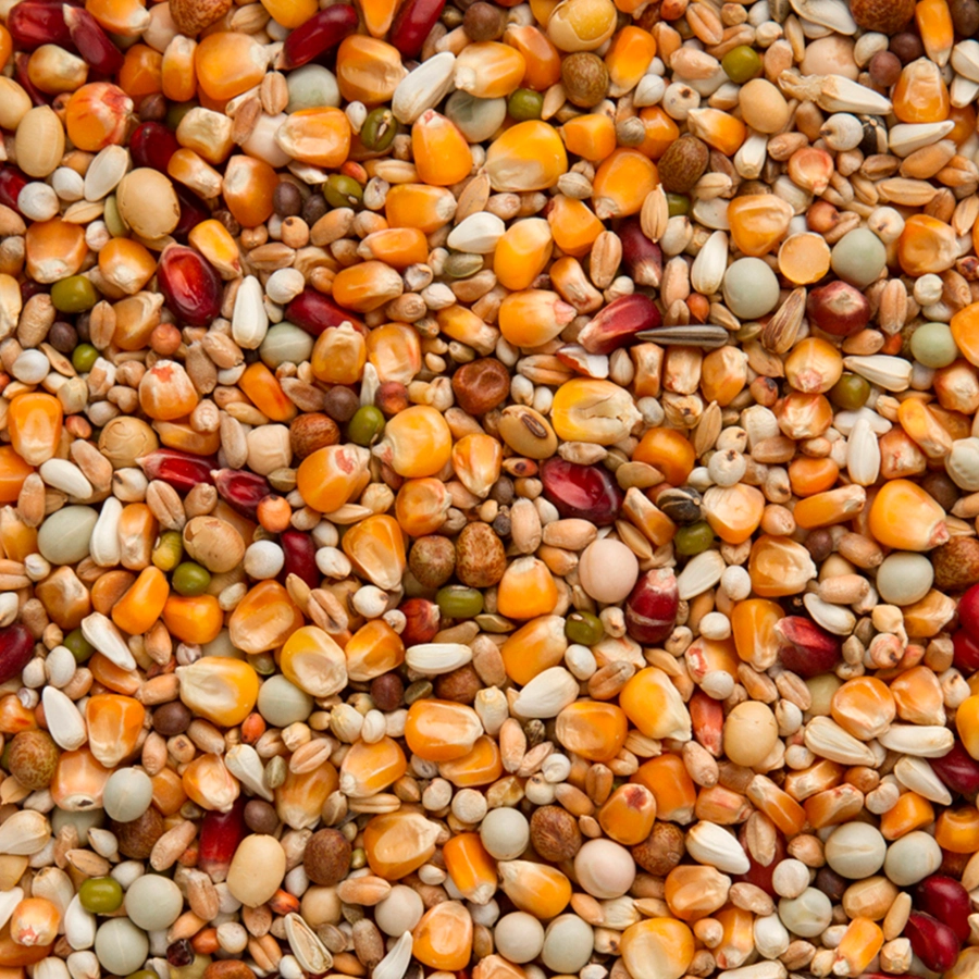 Galaxy long distance tt | VOSKES