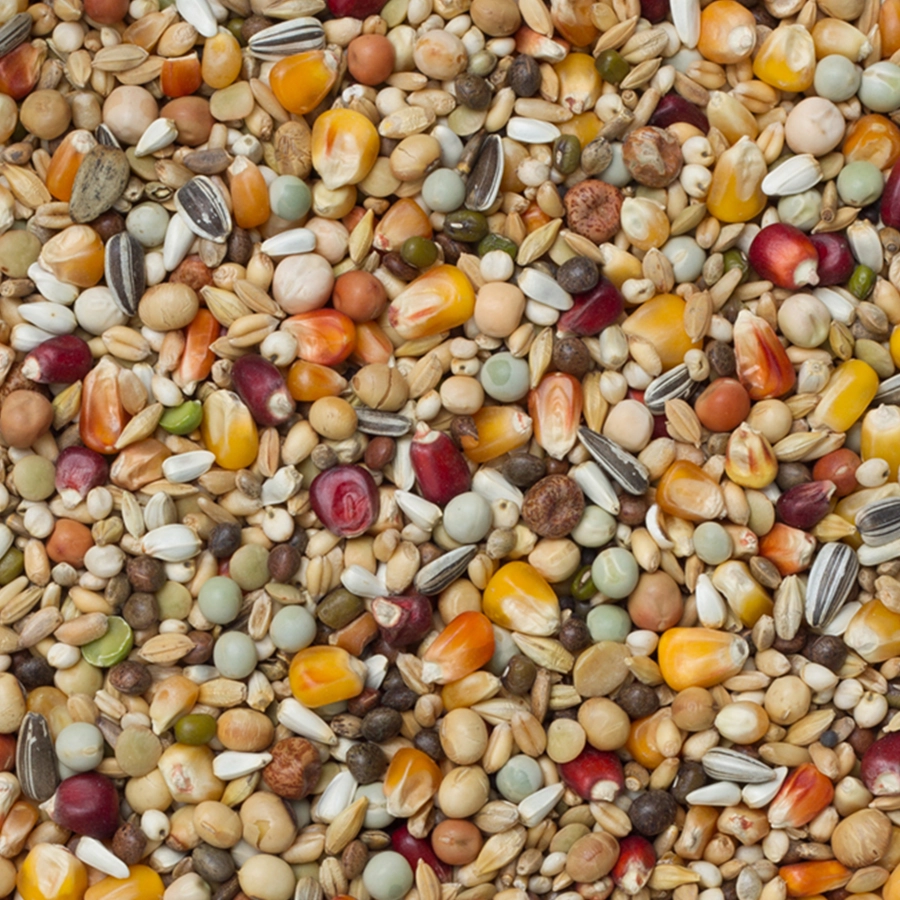 GALAXY MOULTING | | Beyers Belgium