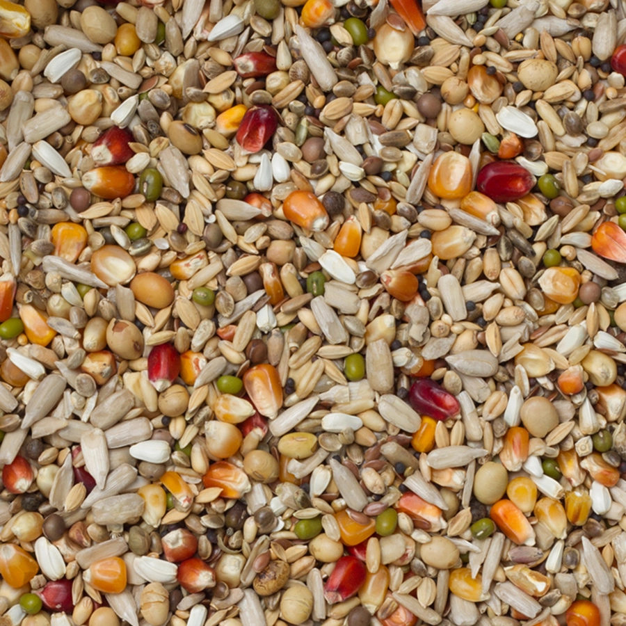 Galaxy sport energy | VOSKES