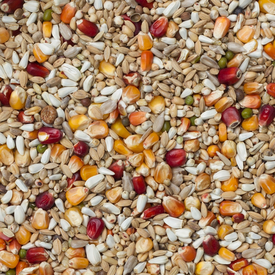 Galaxy sport light | VOSKES