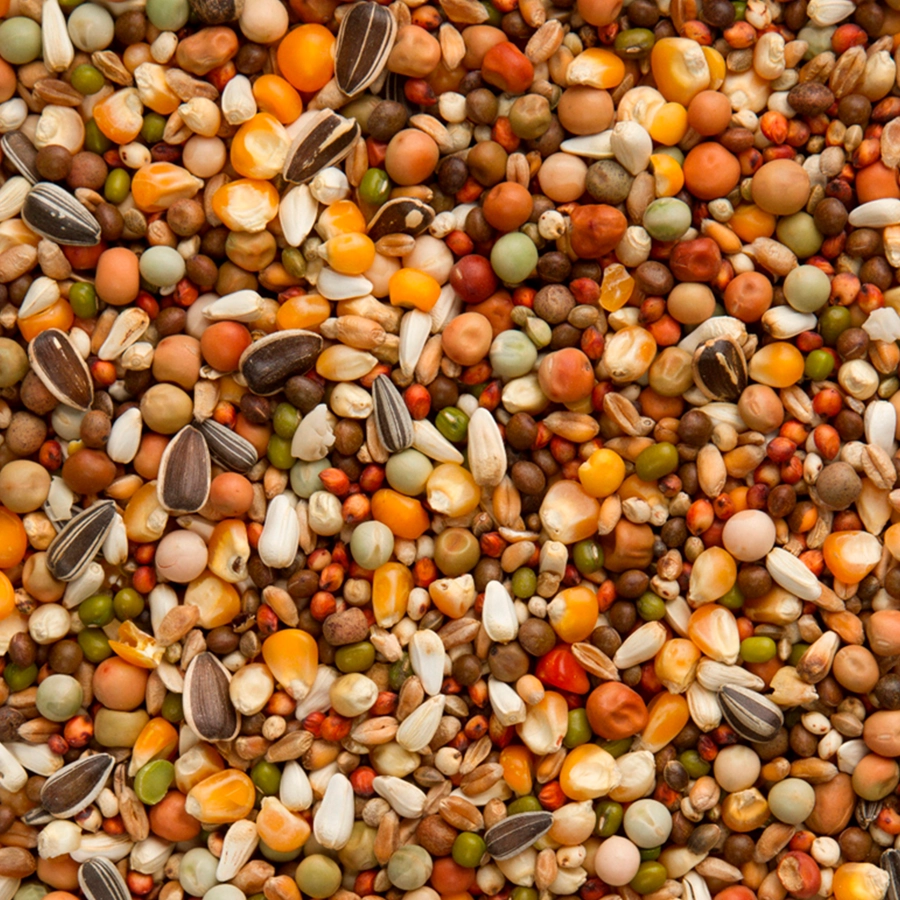 OLYMPIA 47 - BREEDING & RACING | | Beyers Belgium