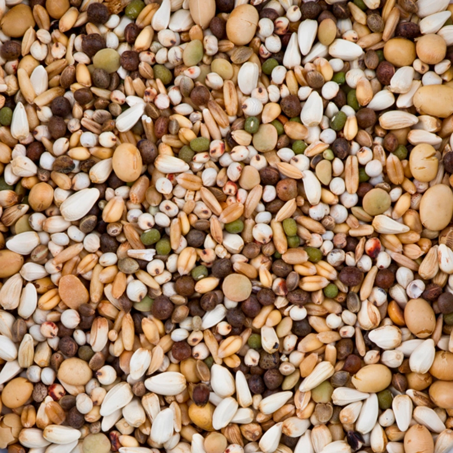 OLYMPIA 51 - BREEDING & RACING FIRST CLASS | | Beyers Belgium