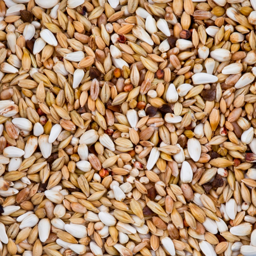 ORIGINAL 23-SÄUBERUNG | | Beyers Belgium