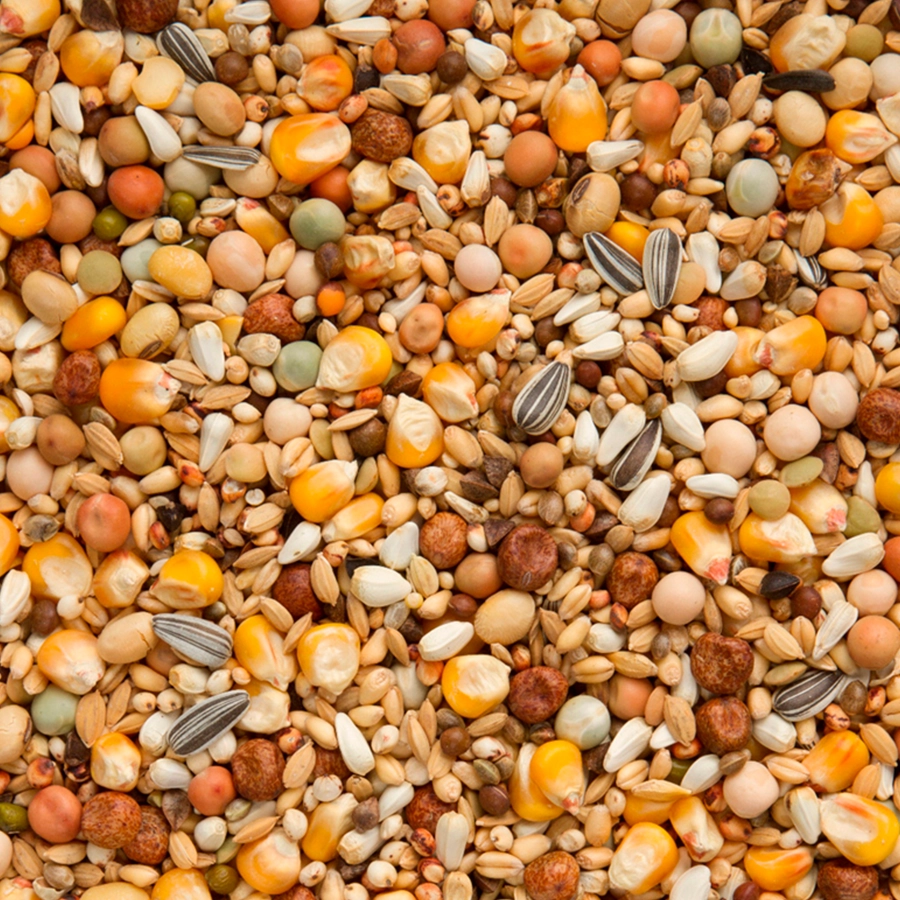 ORIGINAL ENERGY SOY | | Beyers Belgium