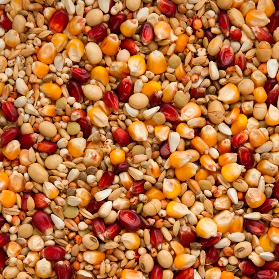 Original enzymix energy | VOSKES