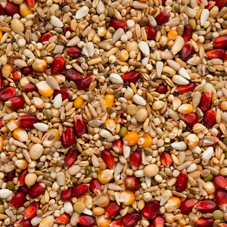 Original enzymix power | VOSKES