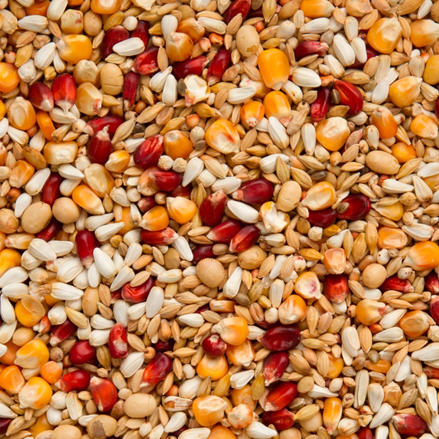 ORIGINAL ENZYMIX RELAX | | Beyers Belgium