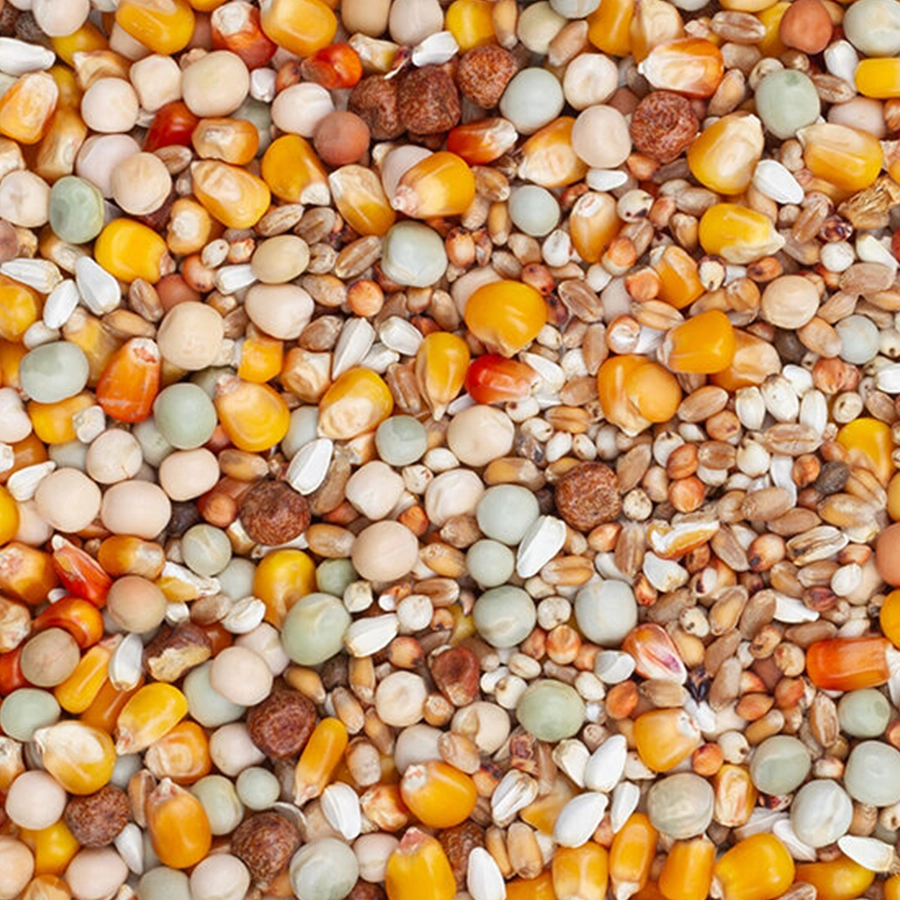 Original breeding | VOSKES