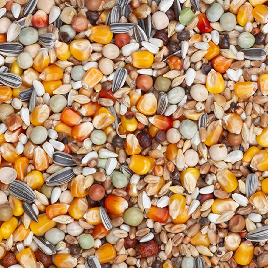 ORIGINAL MOULTING | | Beyers Belgium