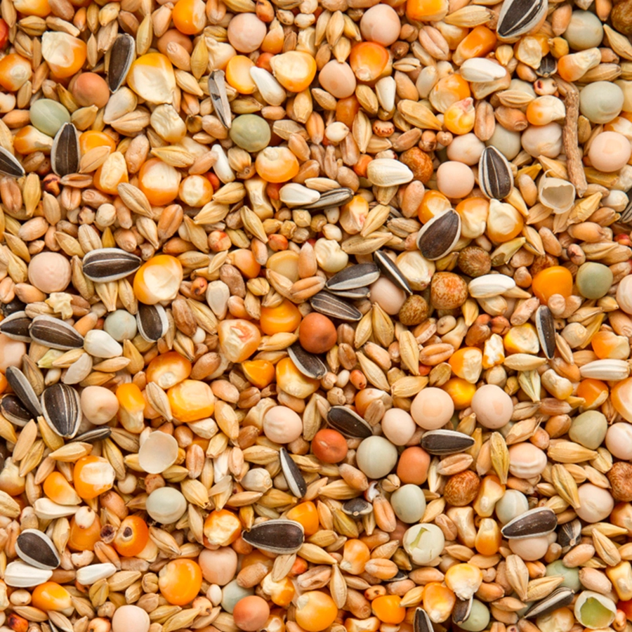 ORIGINAL REST / WINTER | | Beyers Belgium