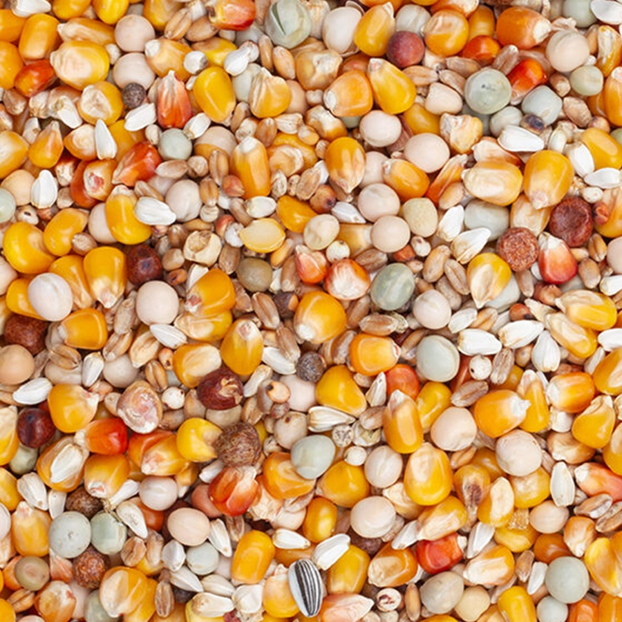 Original racing | VOSKES