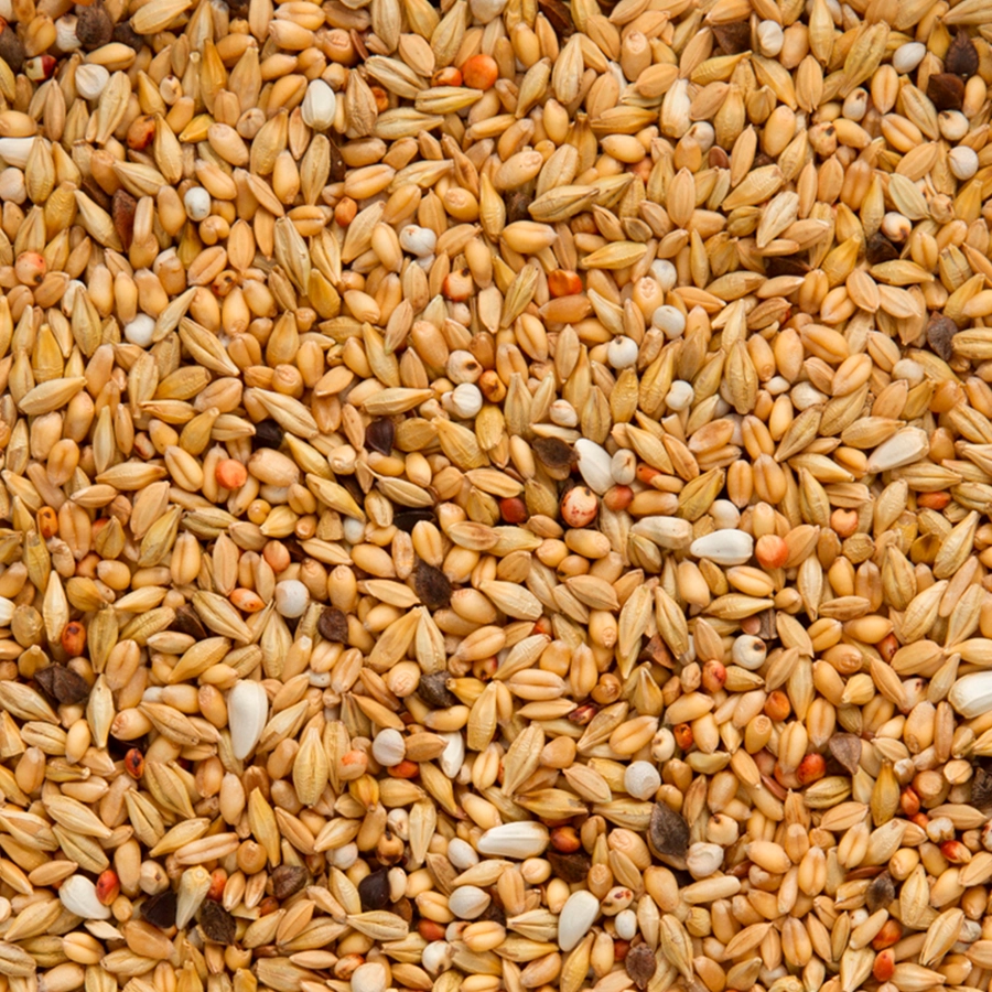 Original depurative | VOSKES