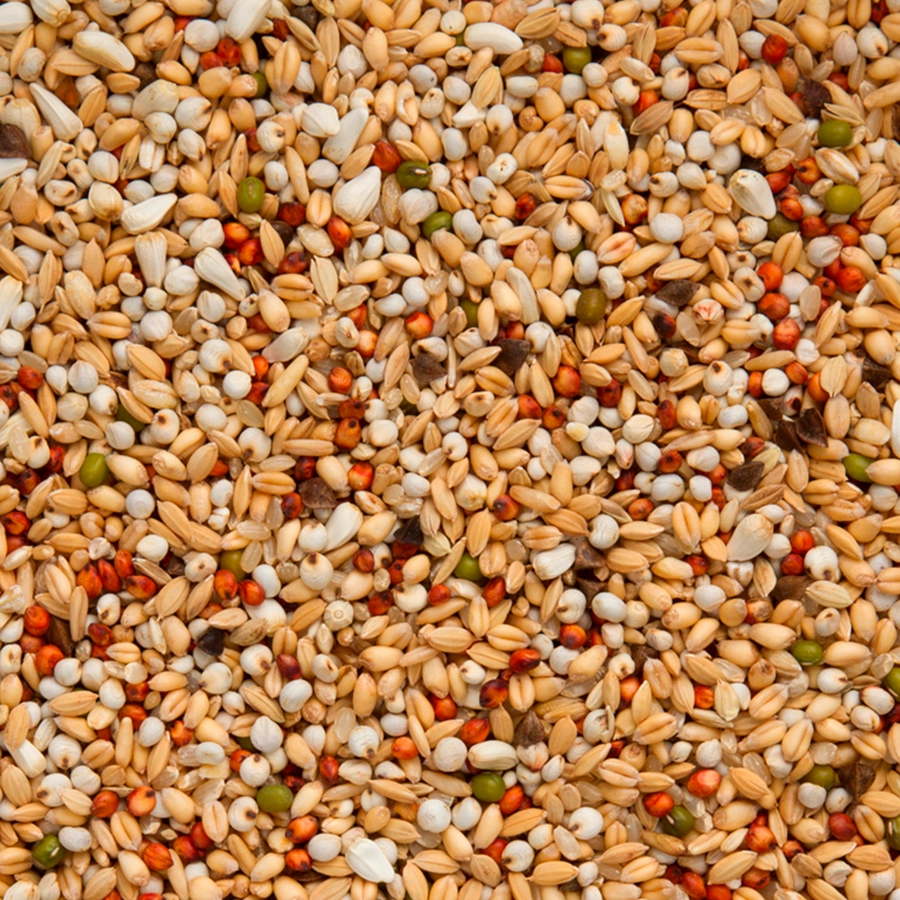 Premium super depurative (without barley) | VOSKES