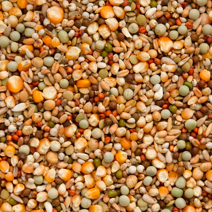 Premium brilliant | VOSKES