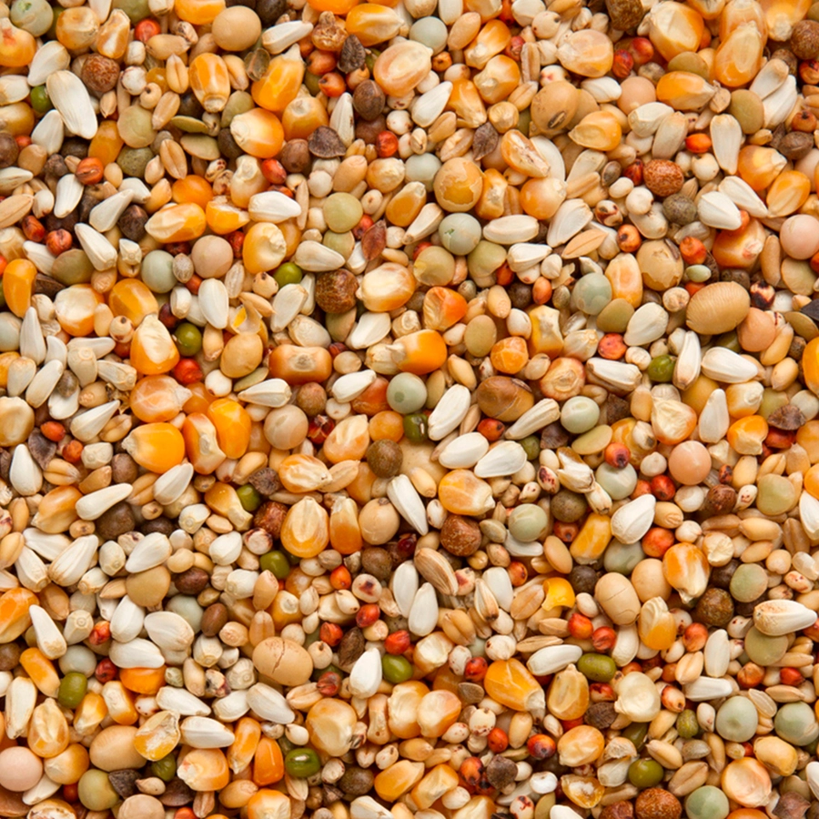 PREMIUM JAN KEEN SUPERLIGHT | | Beyers Belgium