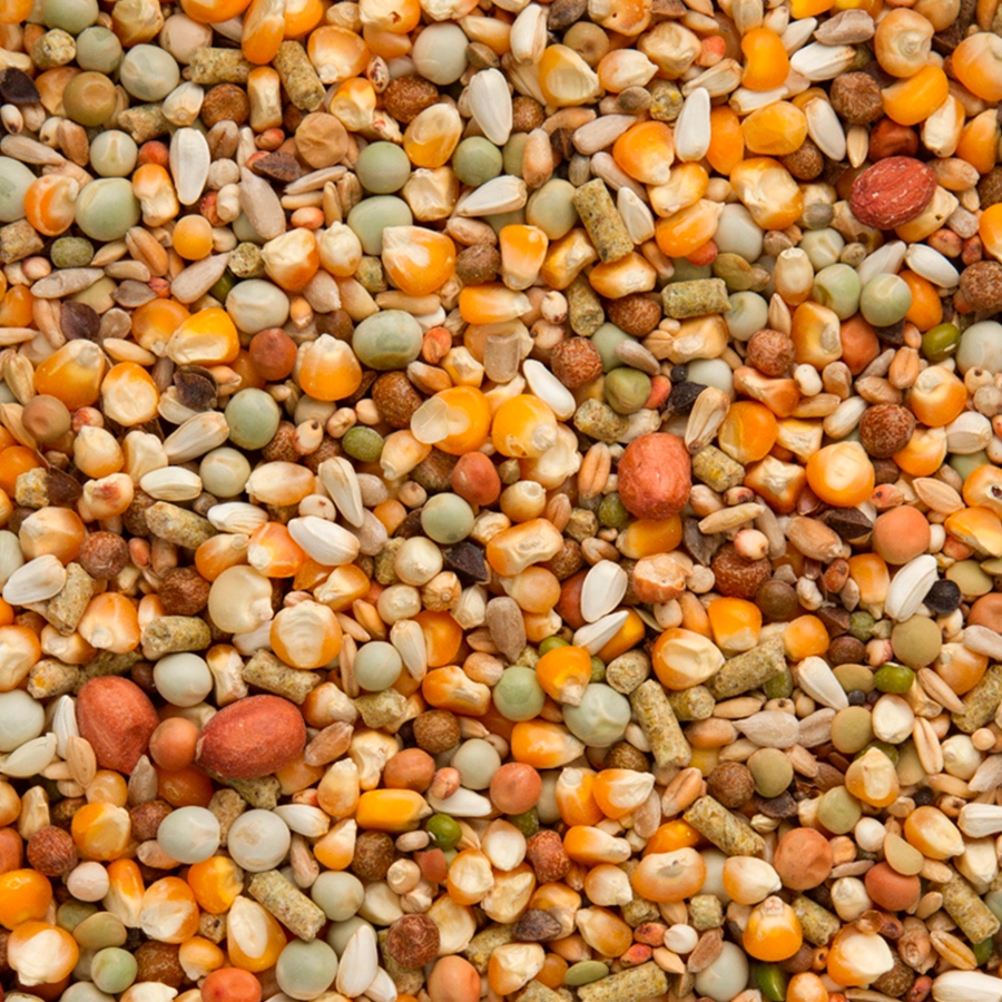 Premium koopman all-in-one | VOSKES