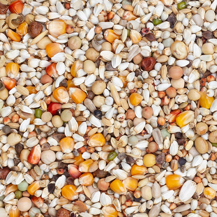 Premium youngsters | VOSKES