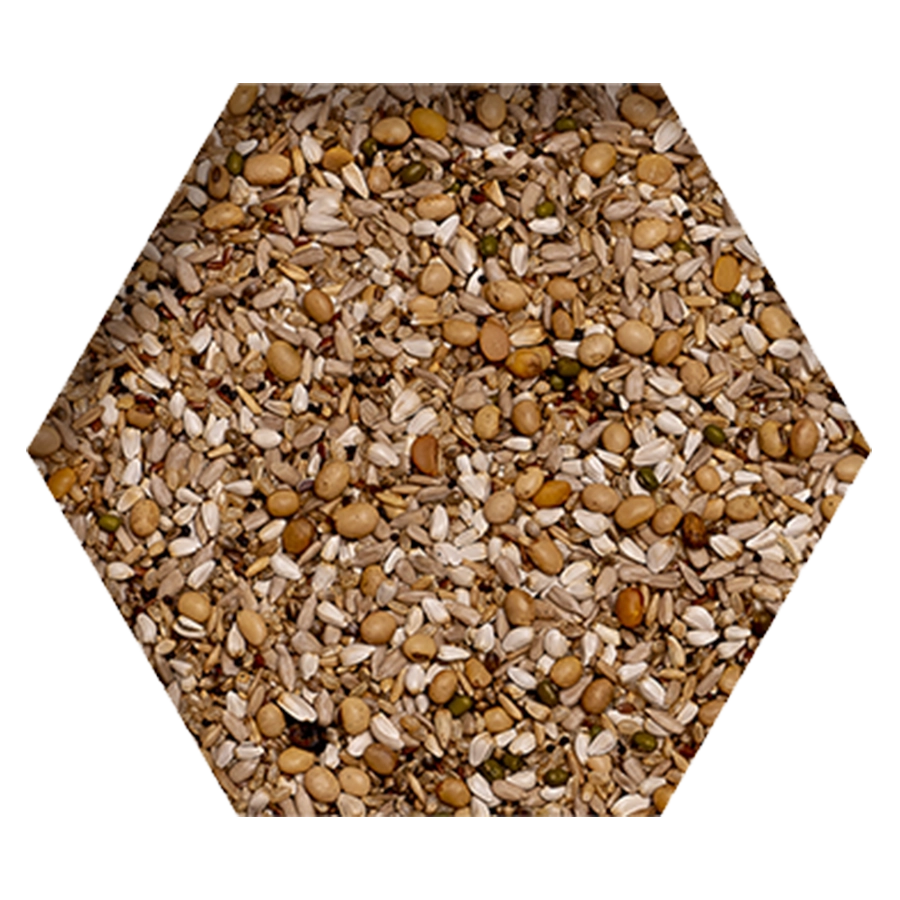 PREMIUM SUPER ENERGY | | Beyers Belgium