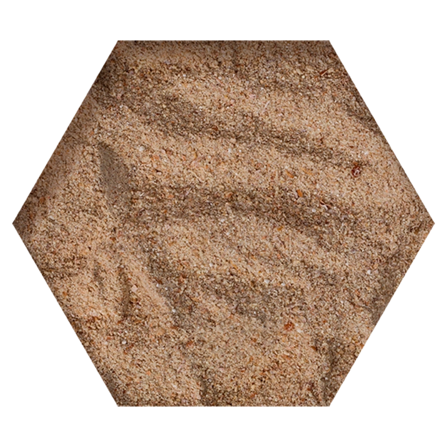 CONDITION | | Beyers Belgium