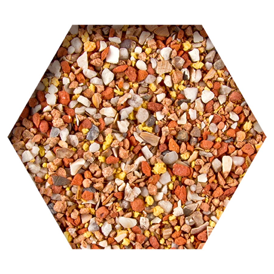 DELI MULTIMIX | | Beyers Belgium