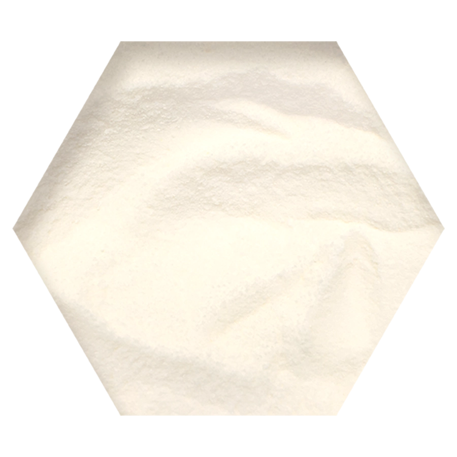 GLUCO SPORT | | Beyers Belgium