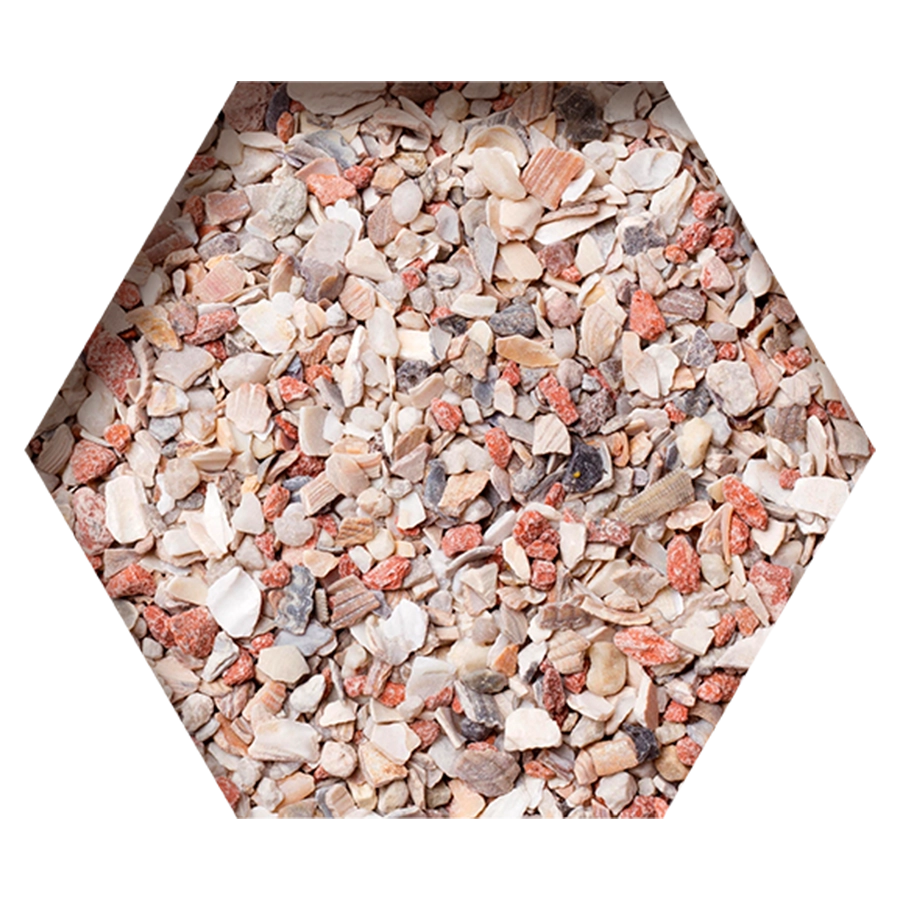 GRIT EXTRA | | Beyers Belgium