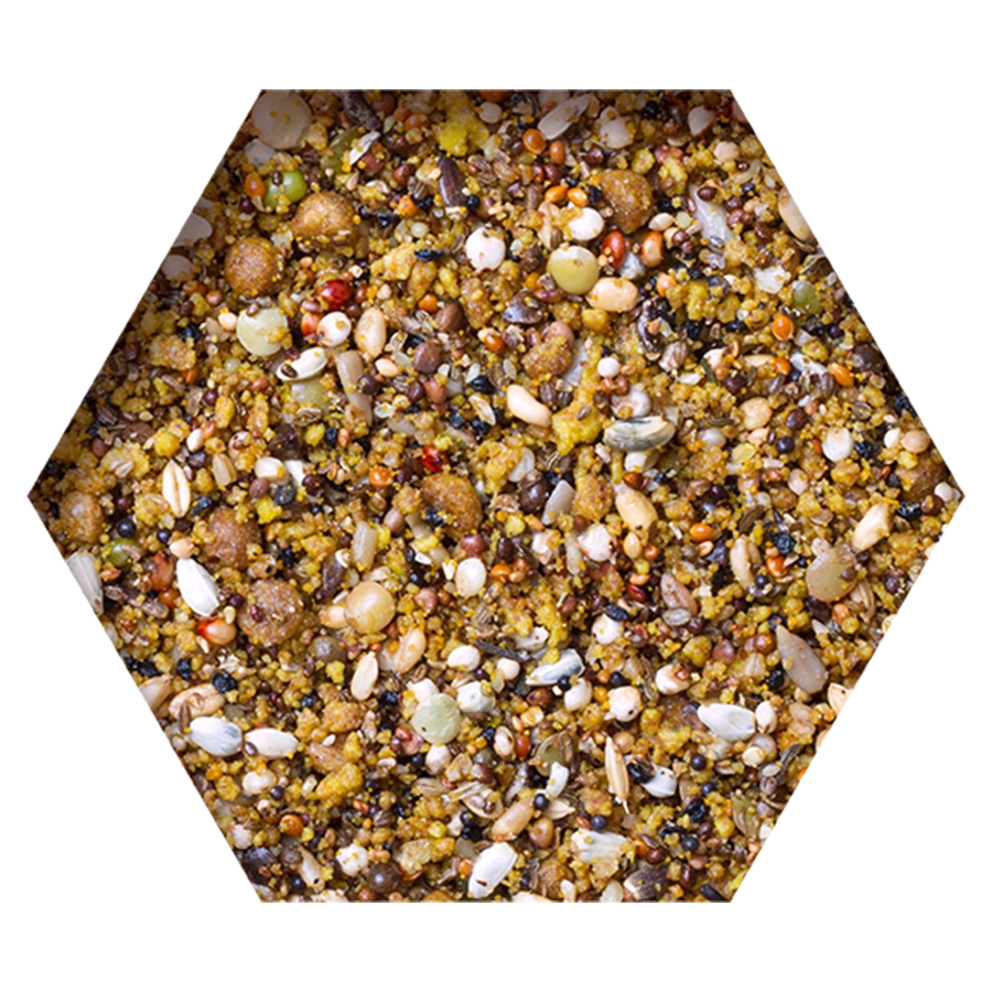 GROWTH-ENERGY-MOULTING MIX | | Beyers Belgium