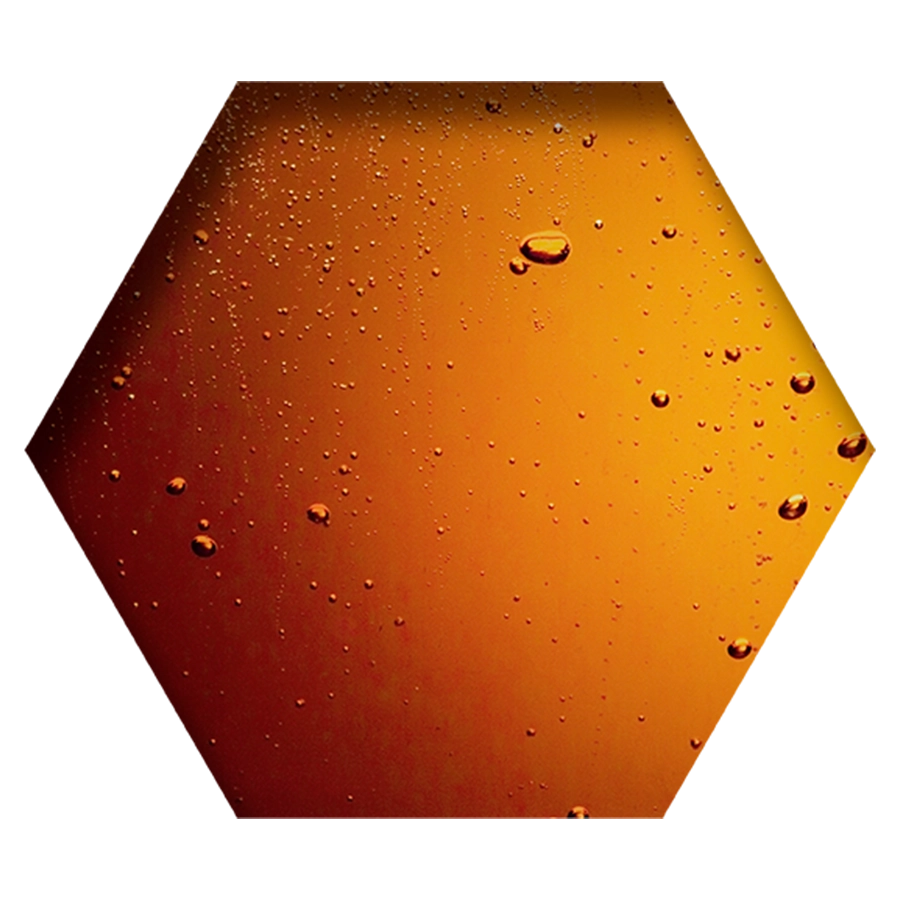 HERBA PURI T | | Beyers Belgium