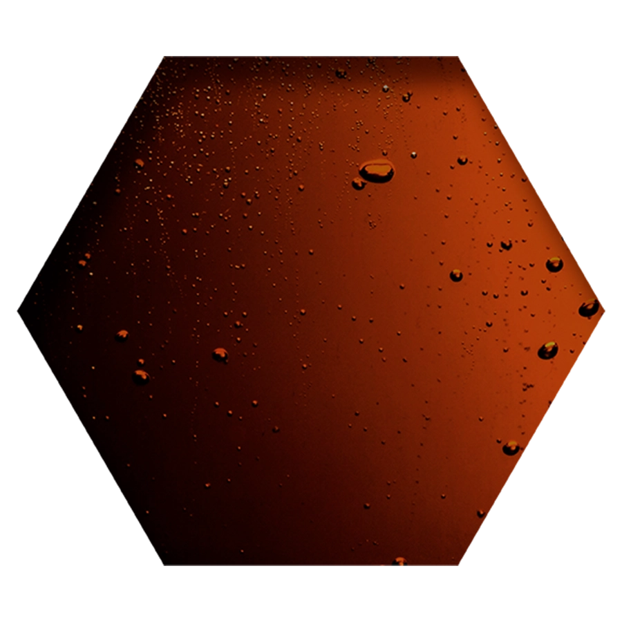 HERBA ZYMA | | Beyers Belgium