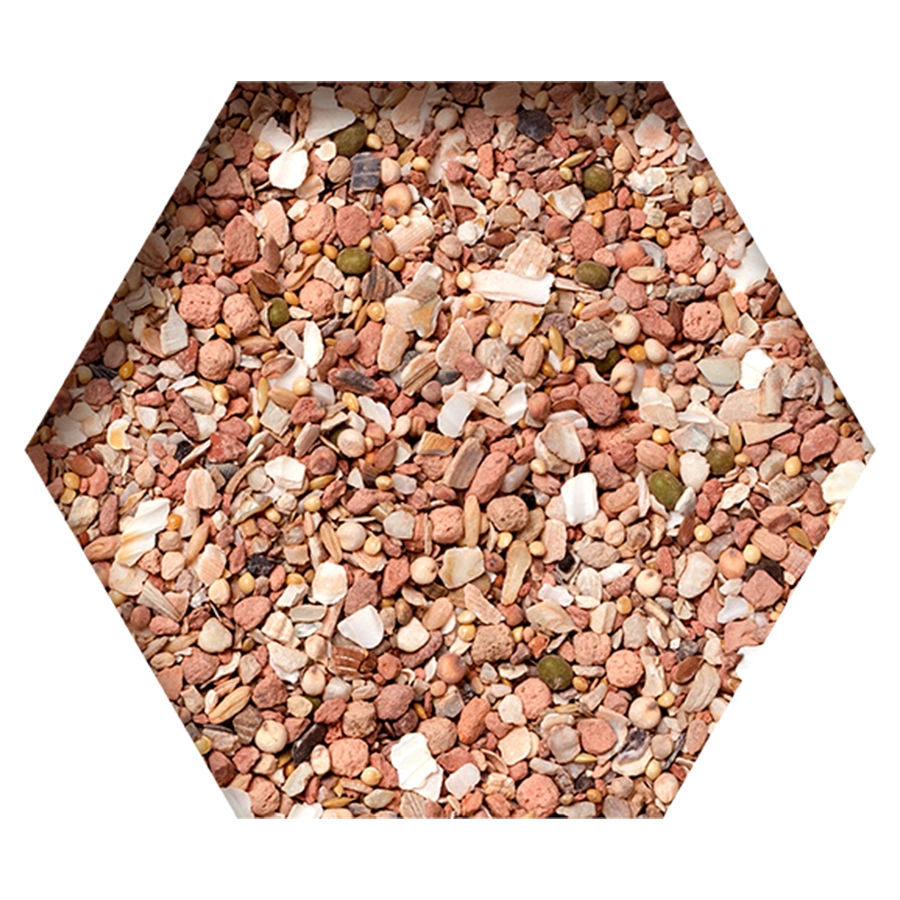 MULTI MINERAL MIX | | Beyers Belgium