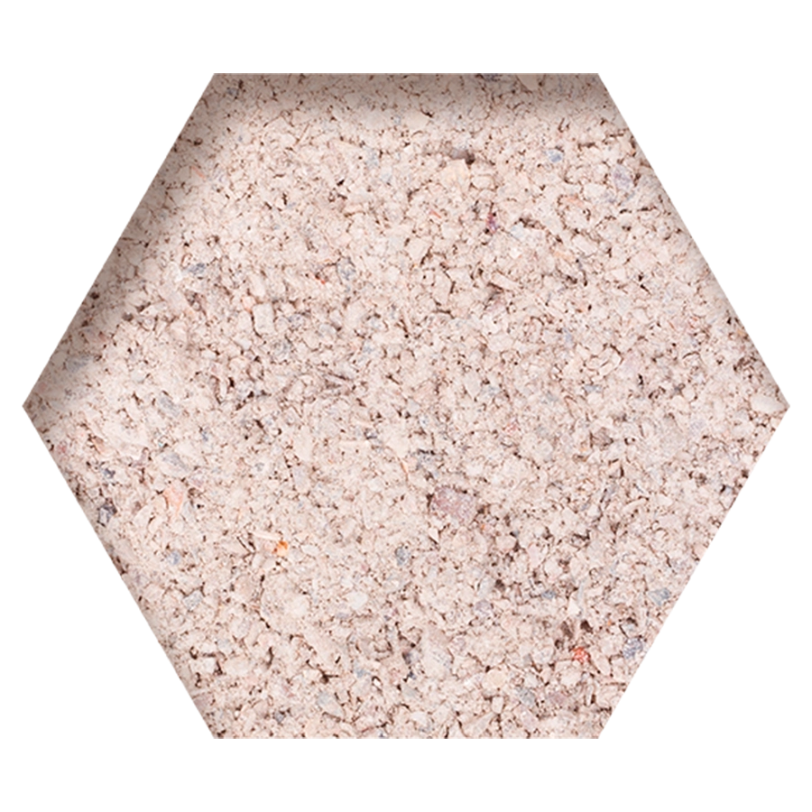 PICKING POT | | Beyers Belgium