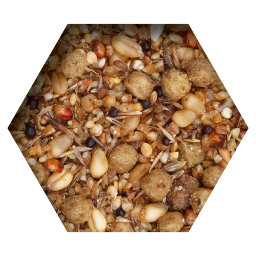 TOVO CONDITION & REARING FOOD | | Beyers Belgium