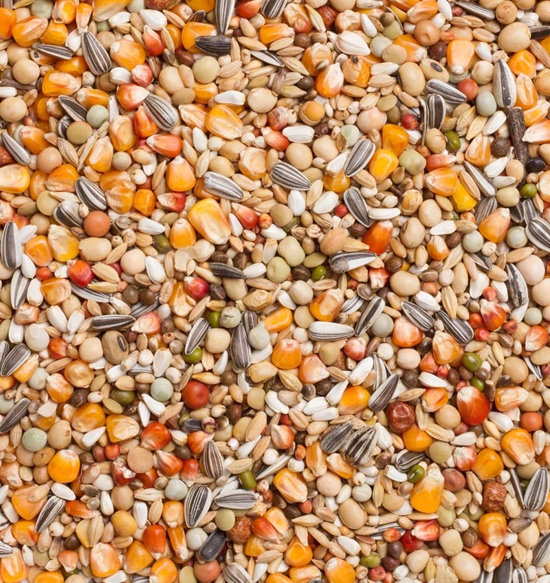 Premium thoné olympic | VOSKES