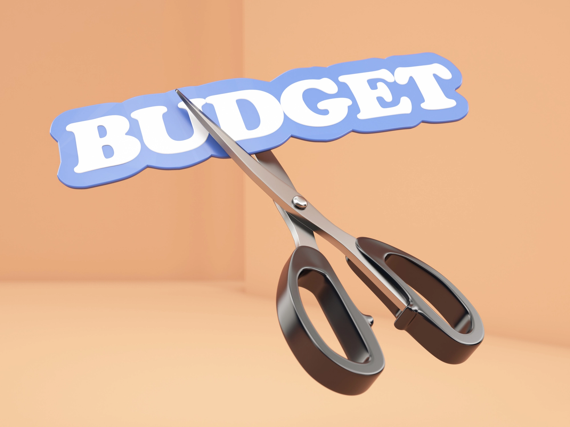 Budgetreductie