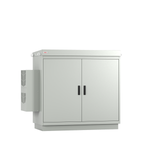 RRN-Serie Dubbelwandige 19 inch schakelkast van Staka