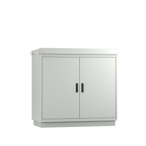 RRN-Serie Dubbelwandige 19 inch schakelkast van Staka