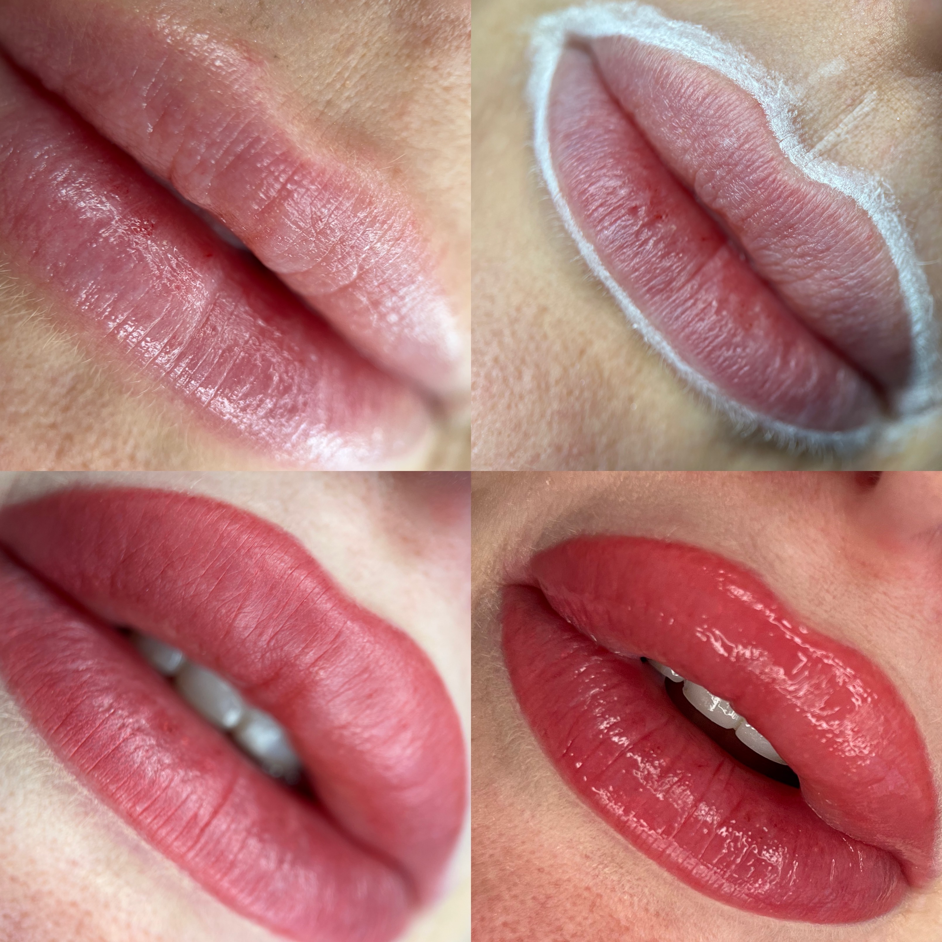 lipblush collage