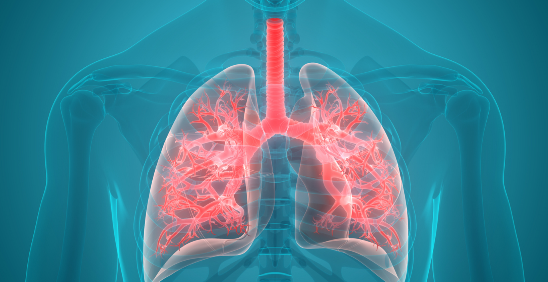 Verhelp je ademhalingsproblematiek bij fysiotherapie De Hofstede in Beuningen