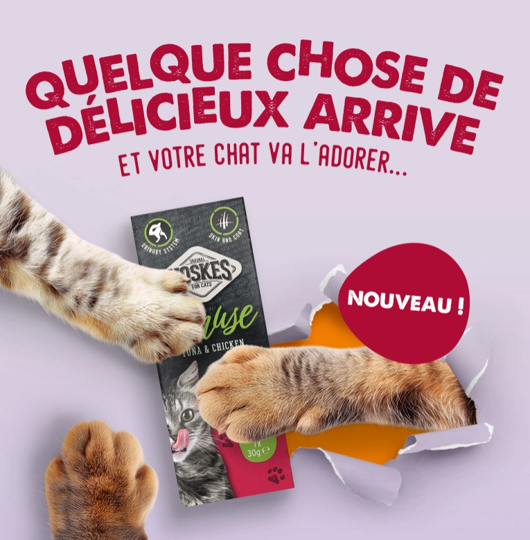 Quelque chose de delicieux arrive