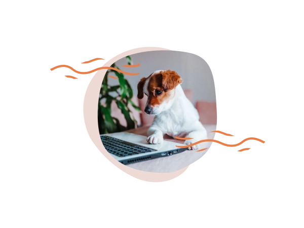 des actualités et des recommandations nutritionnelles ?