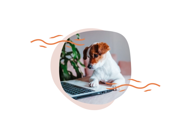 Het beste voor jouw viervoeter in je inbox