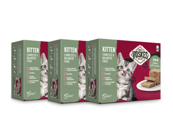 nourriture humide complète pour chats