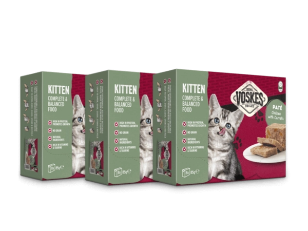 Pate voer voor kittens en katten van Voskes