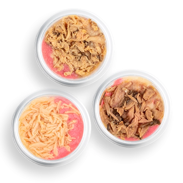 Mousse met stukjes kip | Voskes Amuse 