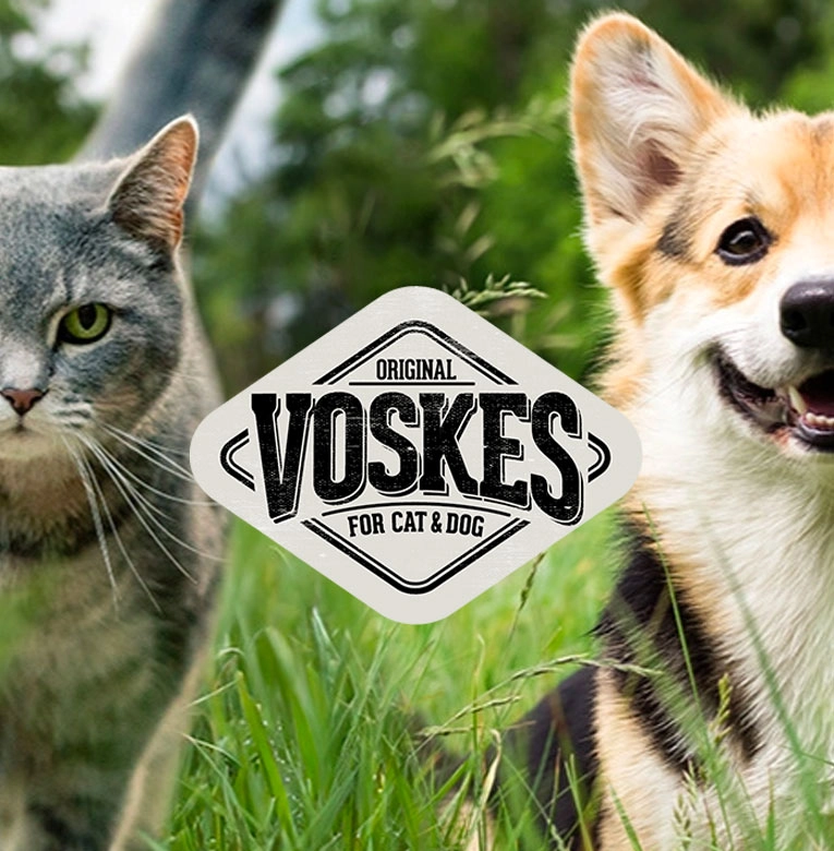 des actualités et des recommandations nutritionnelles ?