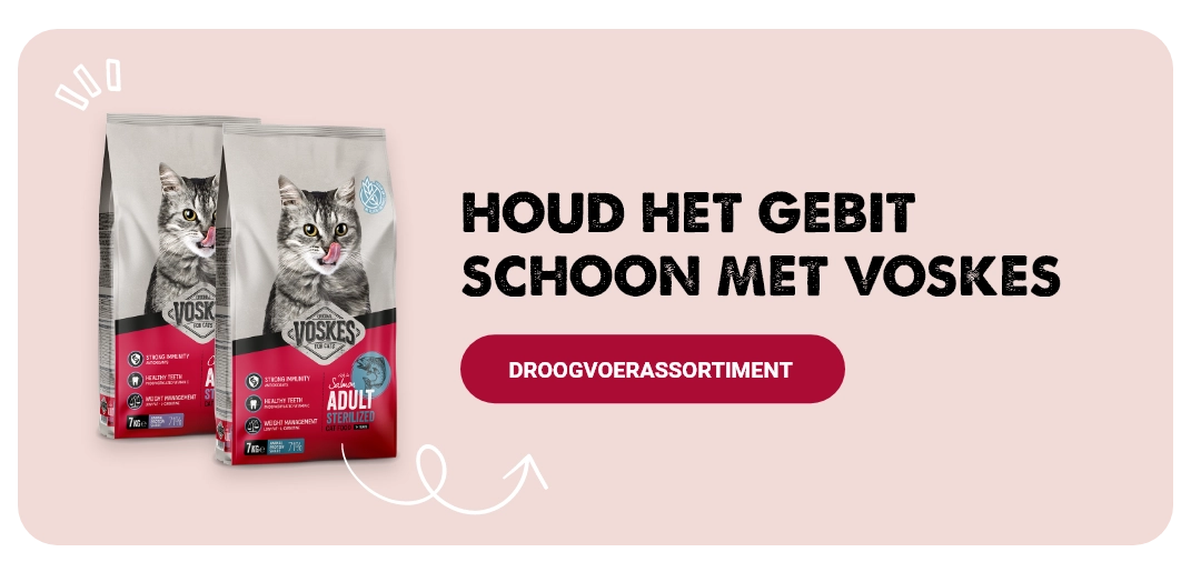 Droogvoerassortiment voor katten van Voskes